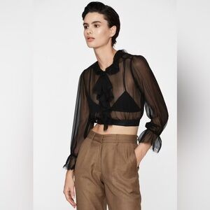 Exquisite Trois Paris Sheer Ruffle Blouse (Size XS)